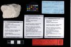 Foto (Objekt + Etikett) von Bopyridae indet.  (NHMW-GEO-2007z0149-0316b)